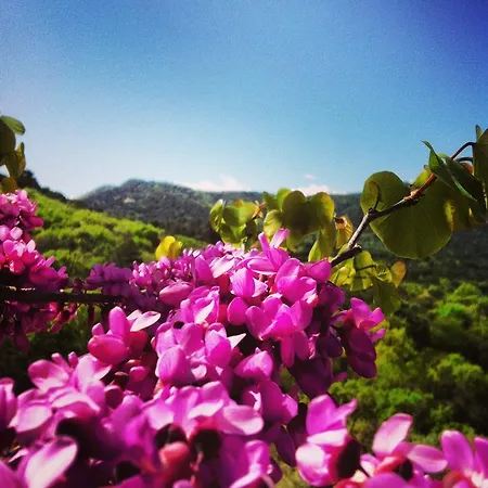 Masia Vista Hermosa Vallromanes